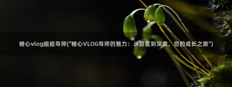 糖心vlgo尤