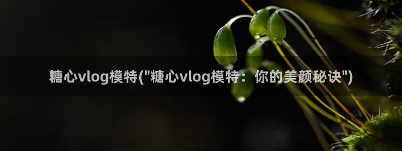 糖心volgol