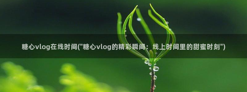 糖心vlgo官网