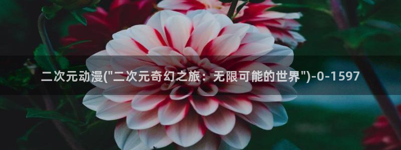 棋魂动漫：二次元动漫(\