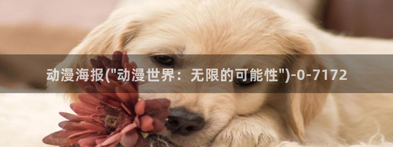 卡通动漫：动漫海报(\