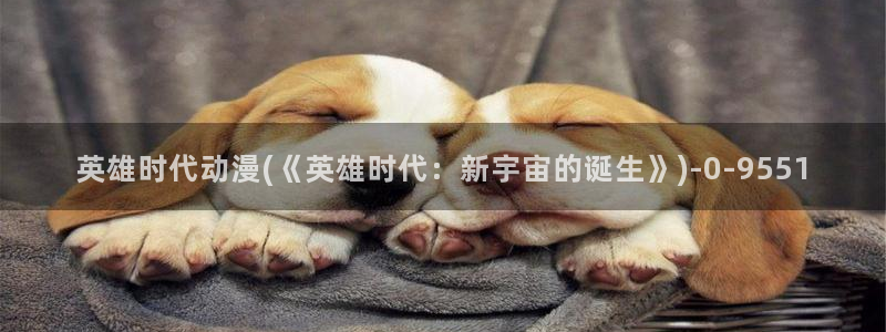 acg动漫网：英雄时代动漫(《英雄时代：新宇宙的诞生》)
