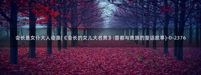动漫御姐：会长是女仆大人动漫(《会长的女儿大名贵》:首都与贵族的童话故事)