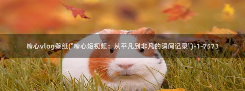 糖心vlgoVIP兑换码