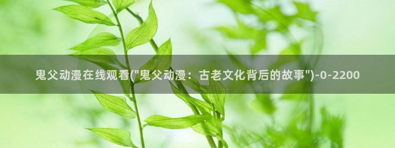 xl上司动漫